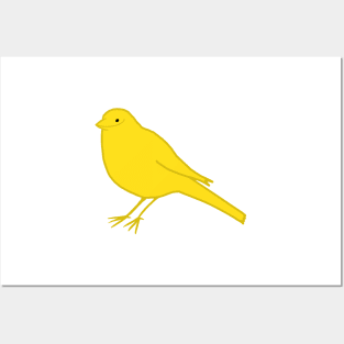 Smile Canary Posters and Art